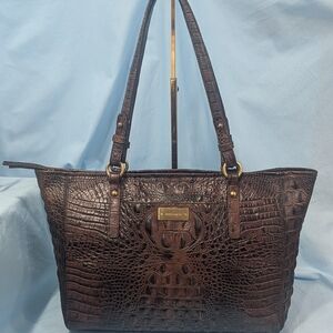 VGUC Brahmin Medium Arno in Cocoa